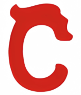 CNFans Logo